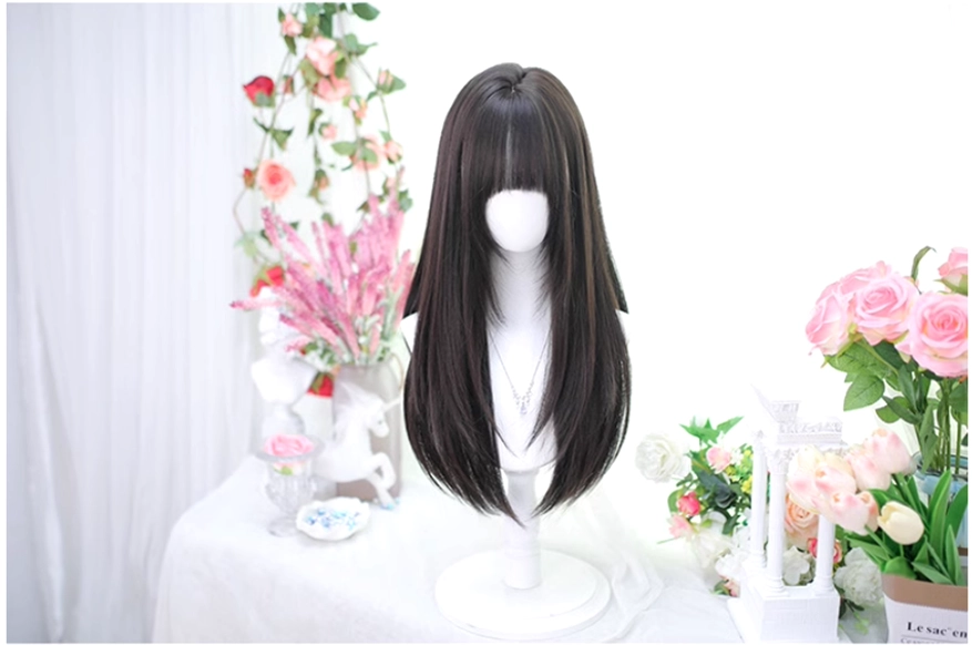 Jirai Kei straight wig black brown 60cm neat bangs glossy straight hair front view studio setup